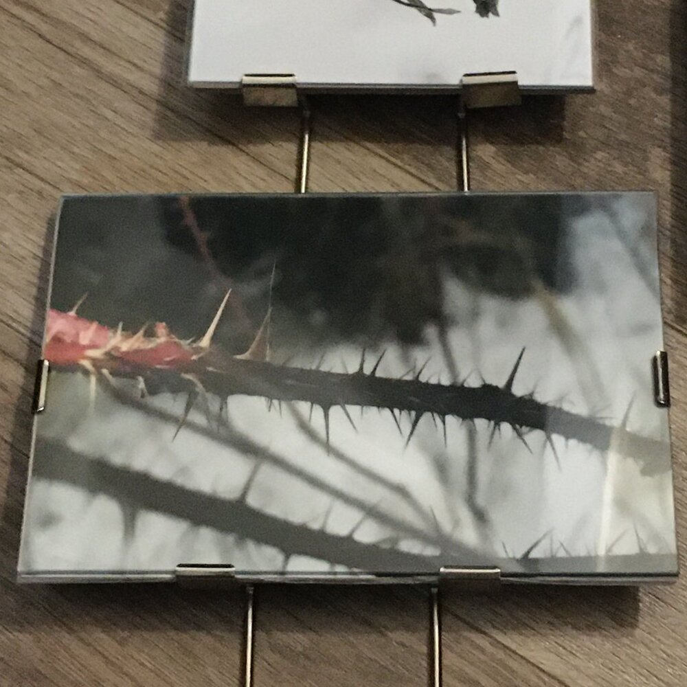 Lot of 3 Glass Metal Photo Frames Canadian Winter Nature Photography Cabin Art - Picture 9 of 9